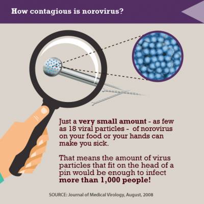 Noro Virus and Holiday Cheer. Spread the facts, not the virus.