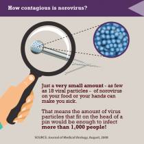 Noro Virus and Holiday Cheer. Spread the facts, not the virus.